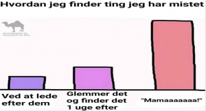 ting jeg har mistet