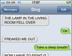 Skærmbillede 2016-05-30 kl. 17.56.49