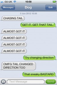 texts-from-dog-25