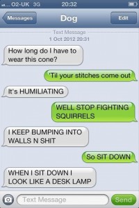 texts-from-dogs-19