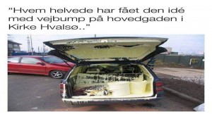vejbump
