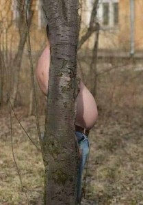 36032453_2149592718619374_1365300705316831232_n