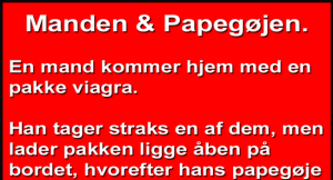 papegøje