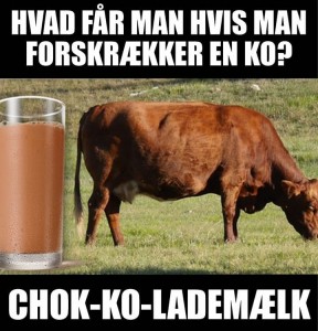 48398225_2310180462558011_8106219187392741376_n