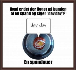 50563443_2331841727058551_171429015414898688_n